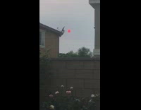 Sun looks red from smoke in sky