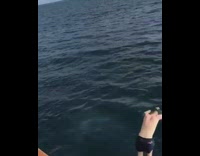 Guy front flip belly flop rooftop lake 