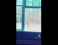 Guy watches brother shoot bow and arrow 