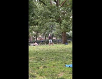 Elderly playing frisbee drops his shorts 