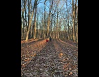 Guy on small motorcycle pulls friend on sled 