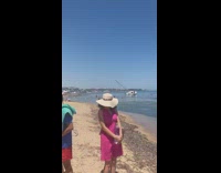 Guy digs beach sand like dog