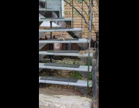 Squirrels lie down on stairs during summer