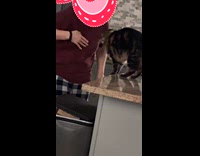 Cat bites hoomans boob because it wanted more food 