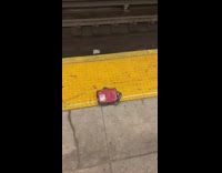 Package of raw meat left on platform 