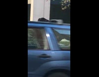 Two Girls Throw Flower Petals in Air for Photo