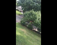 Red car drags furniture across street pt. 2