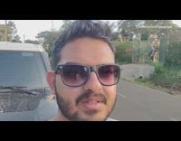 Guy watches giraffes crossing the street