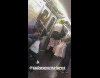 person with green hair small black shorts