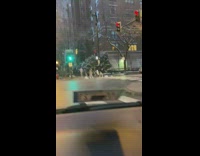 Woman checkered shirt street pedestrian lane stoplight