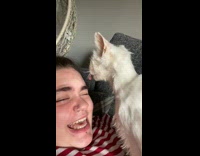Cat licking forehead of woman stops and freezes 