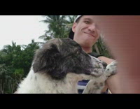 Grey and White Dog Jumps Up On Backwards Hat Guy On Beach