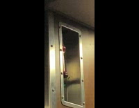 Spider goes down from the wall inside the house in NY 