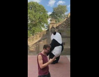 Big giant panda costume turns around at park plaza