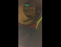Guy running in human sized hamster wheel
