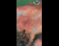 Artist shows portrait of Nasser Bin Hamad