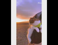 Girl carries cat green harness pink dress