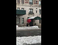Guy holding red heart balloons dances sidewalk 
