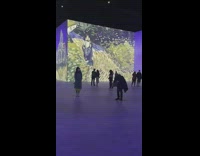 Woman Poses Standing Still in Art Museum 