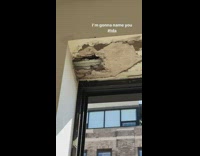 Apartment window damage from hurricane ida 