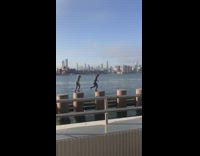 Spiderman costume two people jump cylinders river