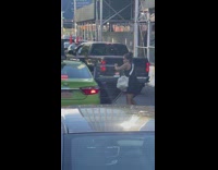 Woman tries to hit and vandalize green taxi