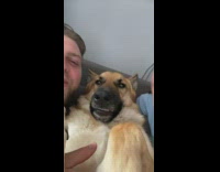 Couple sandwiching dog between them kisses