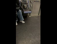 Cat inside of a cat bag with a window for the cat