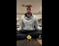 Guy bops head to song with duck