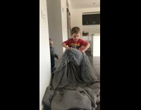 Little boy says abracadabra and  does disappearing blanket magic trick with a gray fur blanket