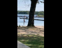 Collab IITW - Woman yoga pose at the beach dock