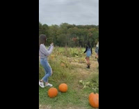 pumpkin patch surrounded groups girls