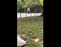 Man fighting with no one at the park