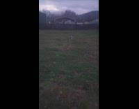 Puppy running accidentally trips and rolls