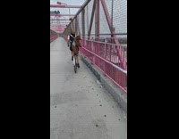 Dog on striped baby holder on bike