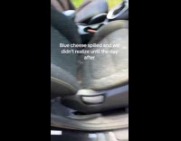 Collab Clips MPUGC - Car seat covered in cheese mold