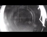 Praying mantis detected from camera rings doorbell