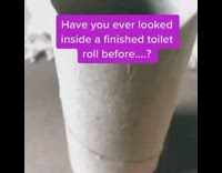 Black white cat empty toilet paper roll 