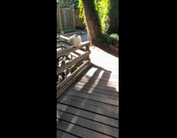 Duck on railings look like Darth Maul