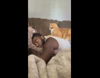 Cat lie down on back of man