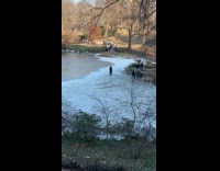 Couple poses by the frozen park lake
