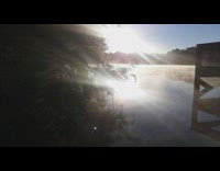 Sunlight hit tree and water produce vapor