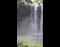 People watch guy jump off waterfall cliff 