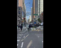 Walking a doberman while riding a bike in new york