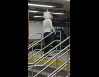 Guy wearing unicorn mask enters subway station 