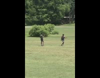 Guy jean jumper face mask dance park