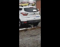 Bunny hide under white car during snow