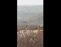 Girl black shirt dance tiktok mountain sunset