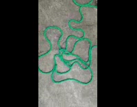 Green flexible hose move filled with water