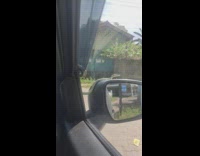 Snake get in the engine car hood